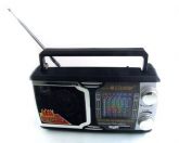 RÁDIO IDEA CNN-1312DL FM/TV/SW1-9 COM LUZ DISCO